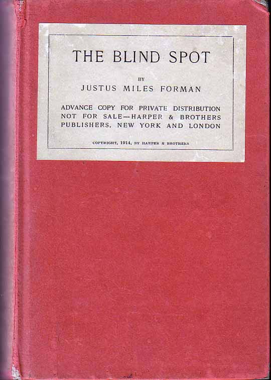 Item #18164 The Blind Spot. Justus Miles FORMAN