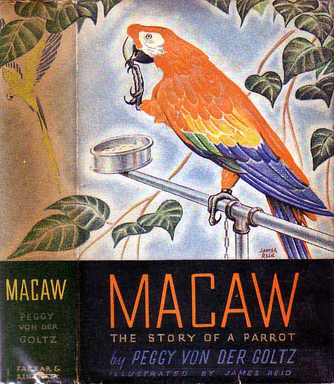 Item #19139 Macaw. Peggy VON DER GOLTZ