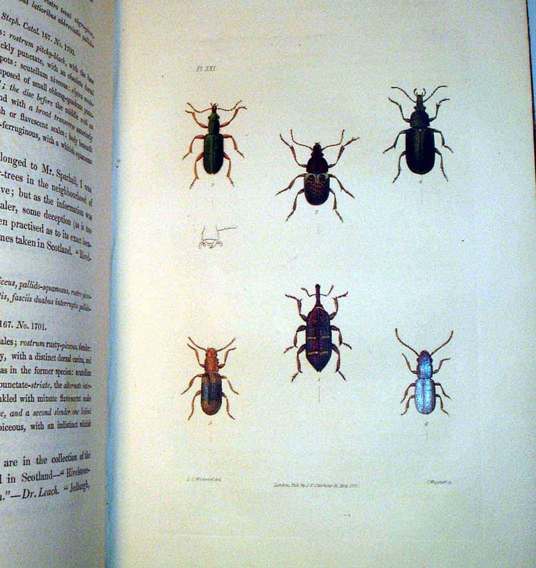 Item #19235 Illustrations of British Entomology: A Synopsis of Indigenous Insects: Containing their Generic and Specific Distinctions; with an account of Metamorphoses, Times of Appearance, Localities, Food, and Economy, as far as Practicable. Vol’s III. James Francis STEPHENS, Charles Darwin.
