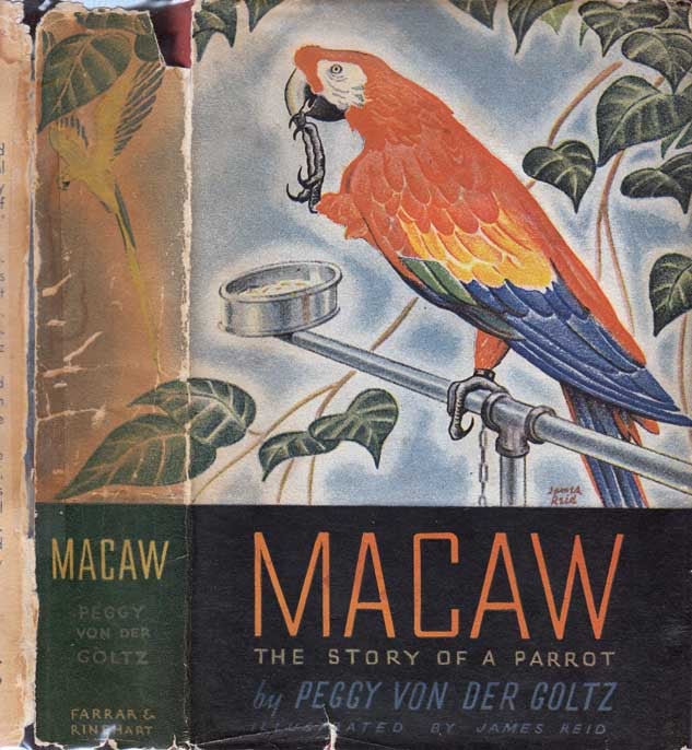 Item #24384 Macaw [SIGNED AND INSCRIBED]. Peggy VON DER GOLTZ.