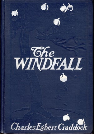 The Windfall [APPALACHIAN FICTION]