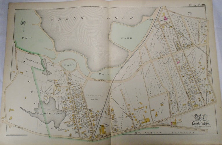 Item #34019 Map of Part of Ward 1 in Cambridge, Massachusetts. G. W. BROMLEY