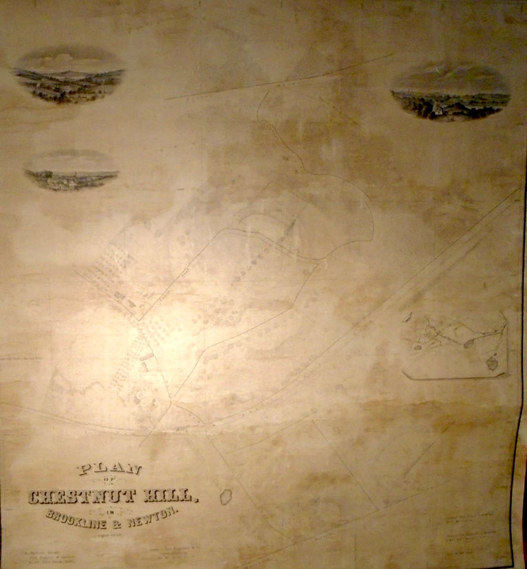 Item #34839 Plan of Chestnut Hill in Brookline and Newton [WALL MAP]. Herbert SHEDD.
